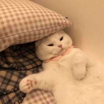 访华第三天，卡尼情绪爆发，当着中方的面